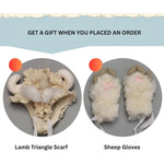 BJD Autumn/Winter Vibe with Lamb Headscarf - U1263 Original BJD Girl Doll | SD-Style Cute Poseable Doll- 1/6 Scale